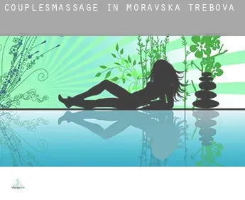 Couples massage in  Moravská Třebová